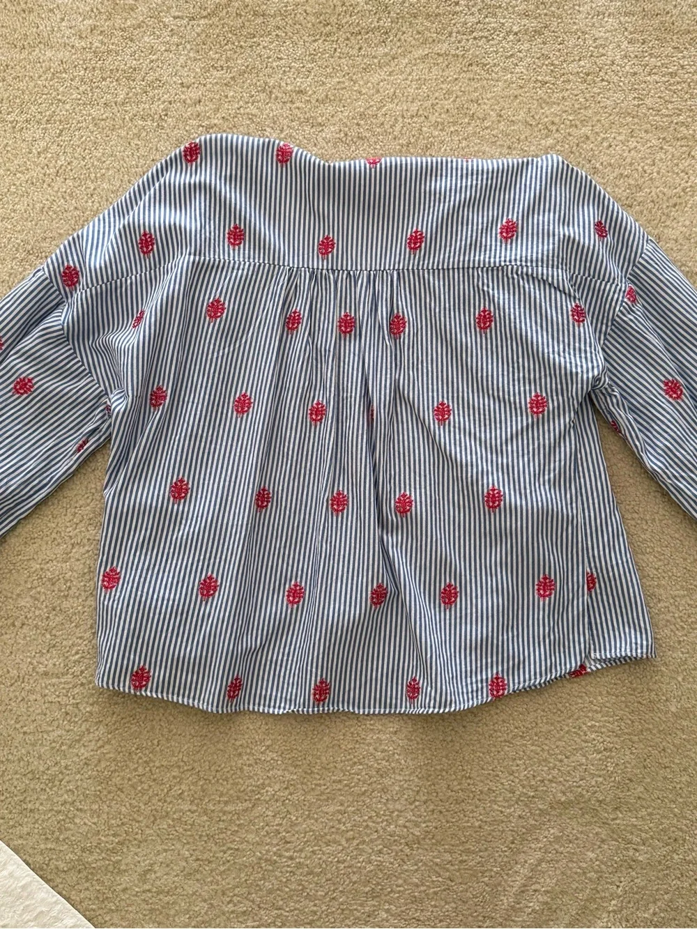 Zara Blue & White Striped Puff Sleeve Blouse with Red Embroidery - Size XS
